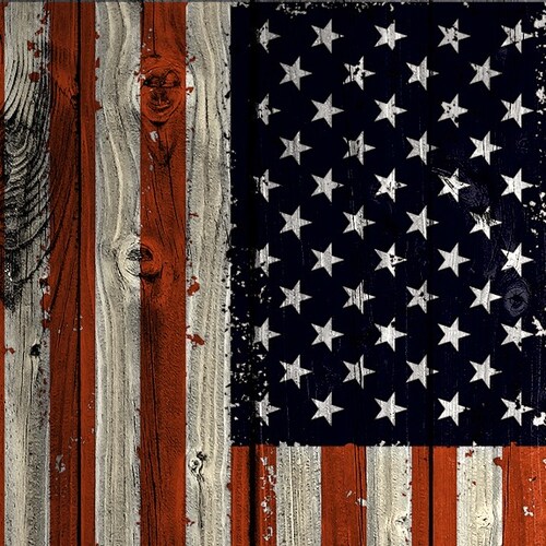 #Americafirst #SaveAmerica #Trump2024 #ProudAmerican #LauraLoomer2026