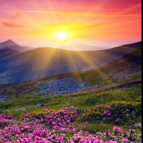 Visit cosmic citizen's profile on GETTR. View their posts, photos, videos, and connect with them on the social platform.