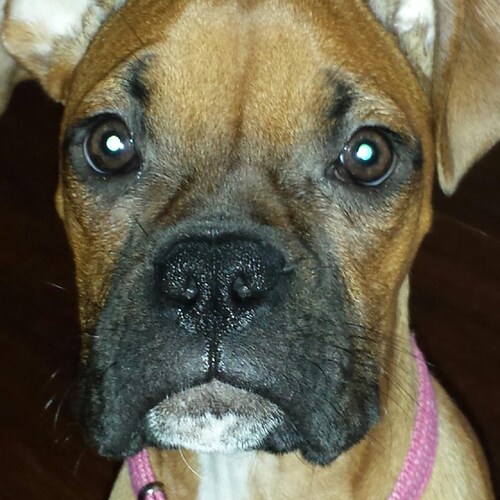 have built and owned successful small biz, faith, family and America First are my core principles