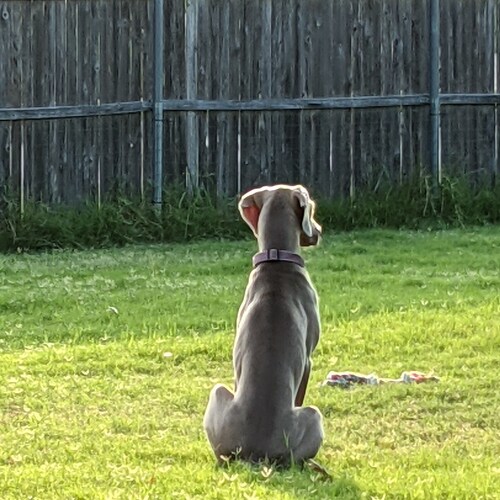 @karlibonne As usual the Clinton Crimes get white washed and shoved under the rug. Will these Government crimina...