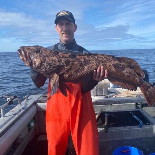 I am a hardworking and serious person!! I can laugh at myself!

I love Jesus 
I am a Father, Husband, son and a brother
...