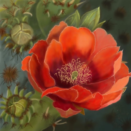 Small business owner, artist, patriot enjoying the sunshine in AZ. Trump won! MAGA