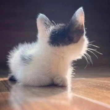 #长岛 今天上演了 #打死也不能说。只要 #秘密任务 没有结束，他就能不交接。谁能决定秘密任务有没有结束？当然是长岛他自己。昨天我还期盼着长岛能在 #联盟 给的台阶上进行交接，今天秘密任务一来，肯定就...