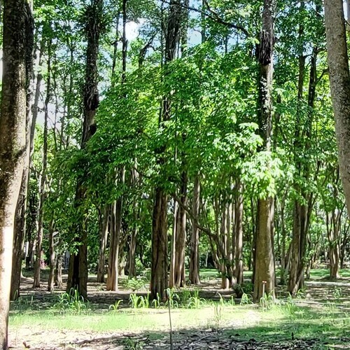 Visit svevsv (臺灣農場)'s profile on GETTR. View their posts, photos, videos, and connect with them on the social platform.