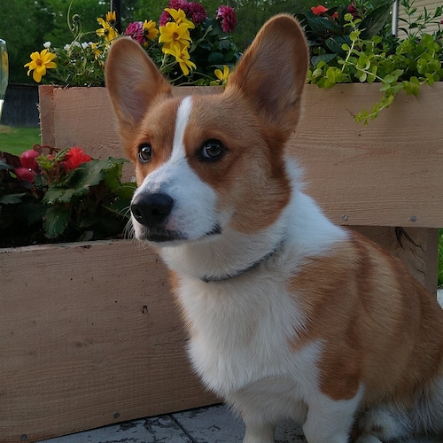 Visit 🍊WENDYFORFWEEDOM🍊's profile on GETTR. View their posts, photos, videos, and connect with them on the social platform.