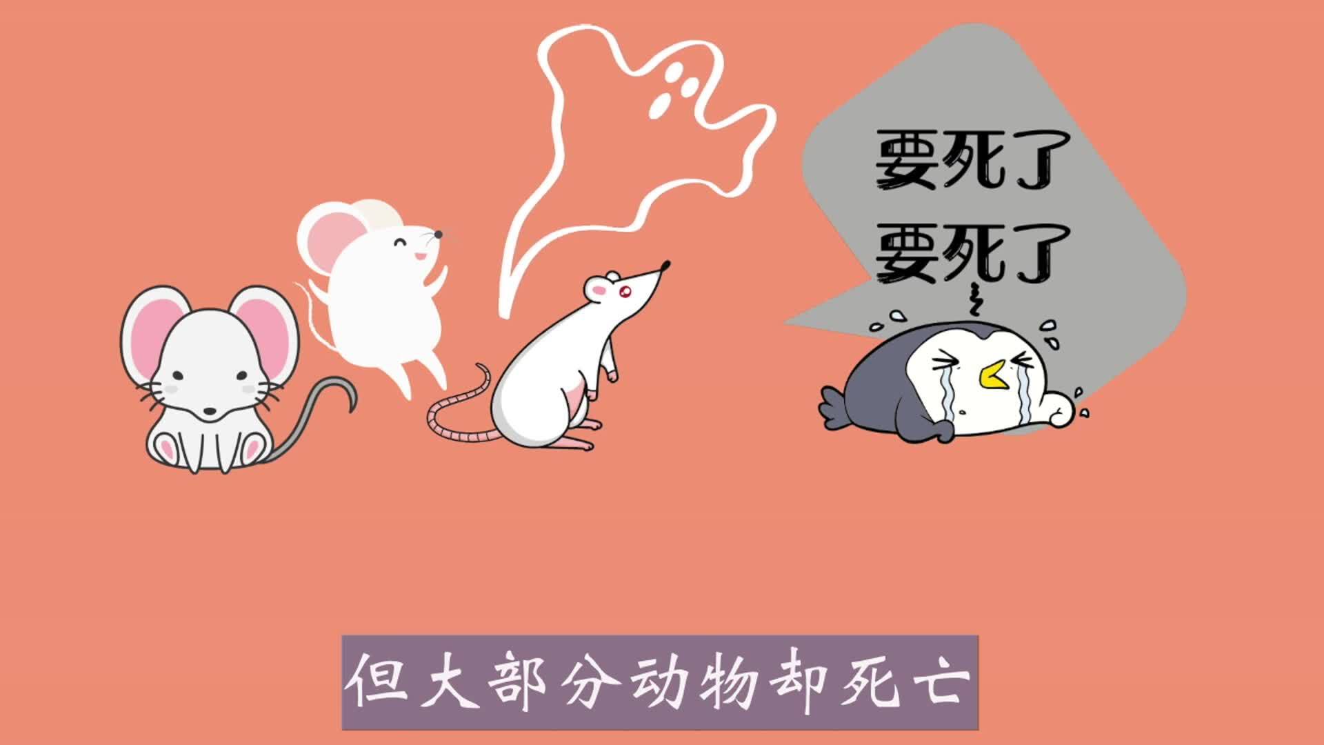 打新冠疫苗安全吗？
从三个层次的安全性来看这个问题：
1⃣️急性
2⃣️亚急性
3⃣️长期
小视频内容根据大胡子医生的讲解做的噢～
为了更生动，所以用卡通形象做出来😘
#疫苗 #大胡子医生