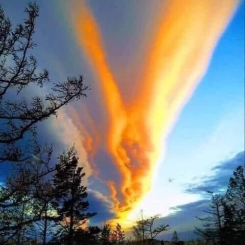 Just want America back!