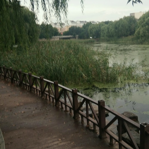 We Are the Citizens of the New Federal State of China

Our Mission is to Take Down the EVIL Chinese Communist Party