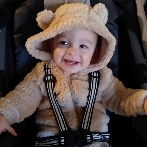 Pissed off Grandma. Trying to save my country for my grandchildren.