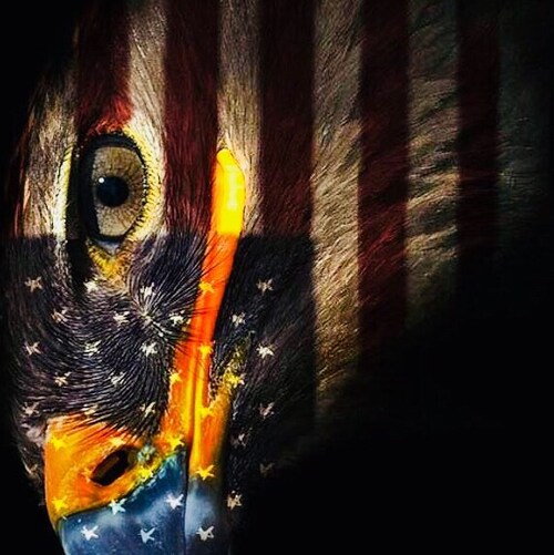 Presidential Flight Detachment, President Johnson ,Vietnam Veteran 67/68,17TH Assault Helicopter Co. Kingsmen/Lancers , ...