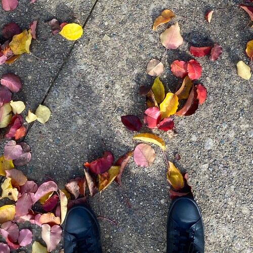 Professional Meme Harvester
SAVE AMERICA
$AMC $GME $LRC $BTC $SOL
Compounding Rx