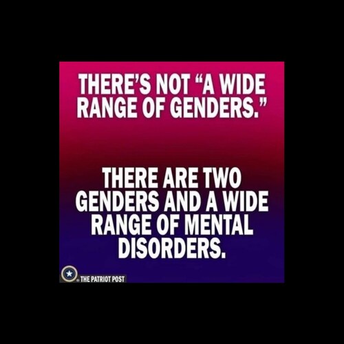 BRAVES BASEBALL** GSDMOM CHIWEENIE MOM * LOVE GOD, FAMILY, COUNTRY,Low Country For evvr!