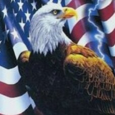 Ultra-Maga Patriot!
Love Jesus! 🙏 PRO-LIFE
PRES. TRUMP 2024!🇺🇸
#BackTheBlue! TWO Genders
Period. Pure Blood. Democrat...