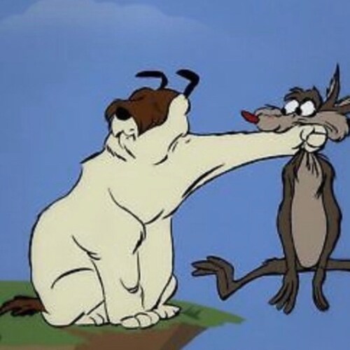 smile loving American woodsman 🇺🇸, Marine, union laborer and informed VOTER