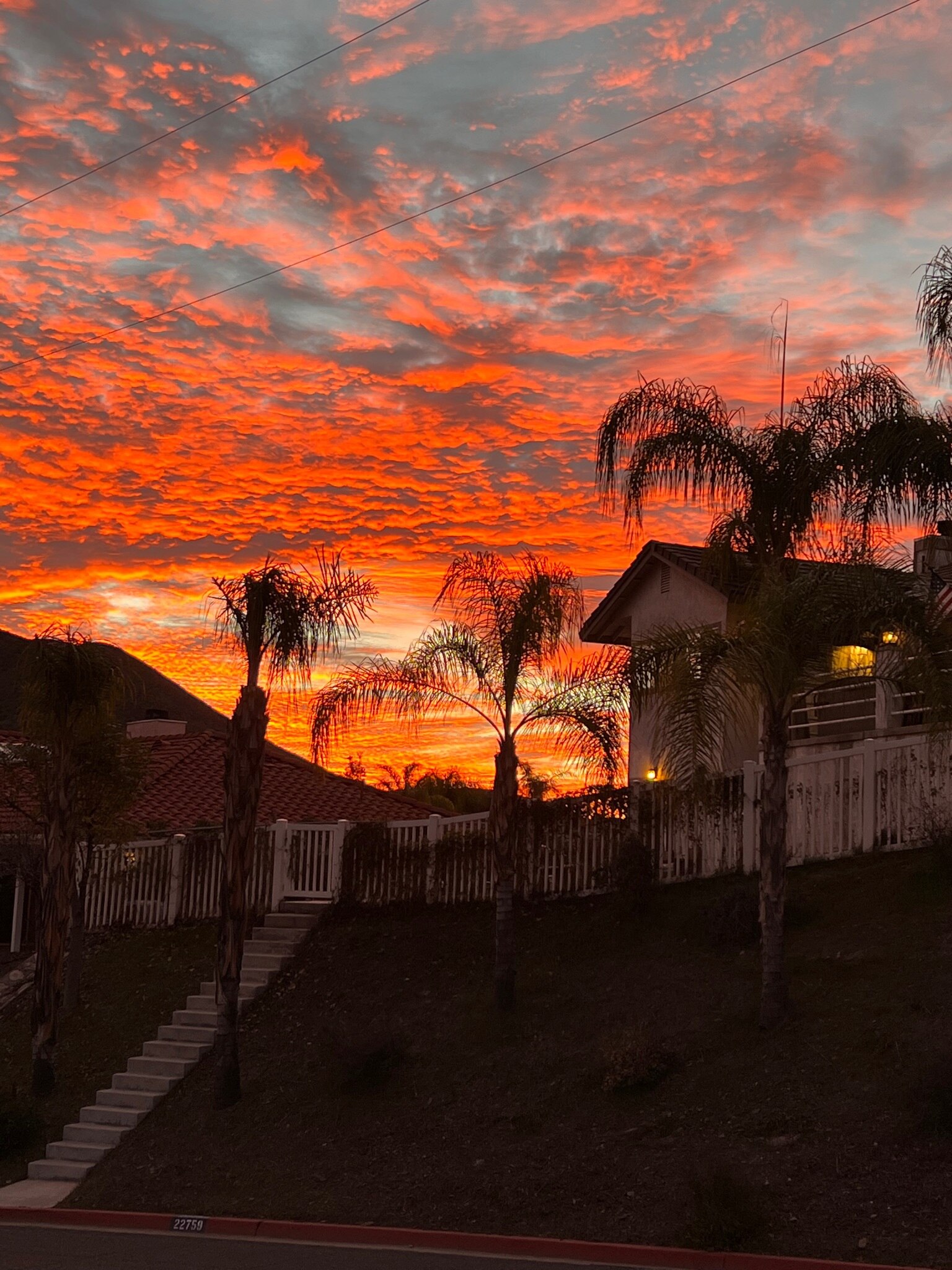 One of those morning and you know it’s going to be a good day!2022