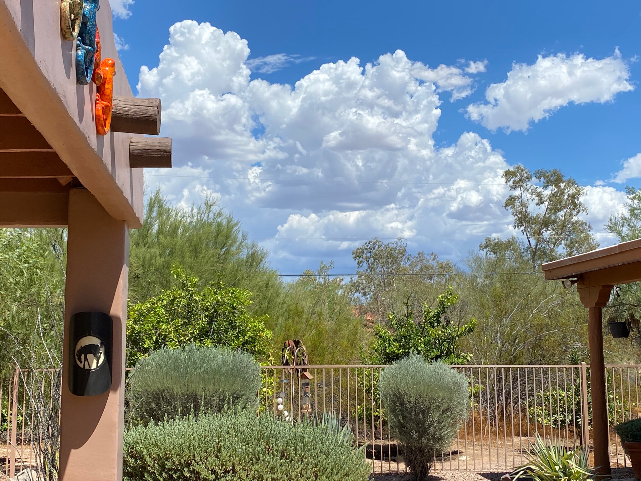 Happy Thursday from the AZ desert.  

