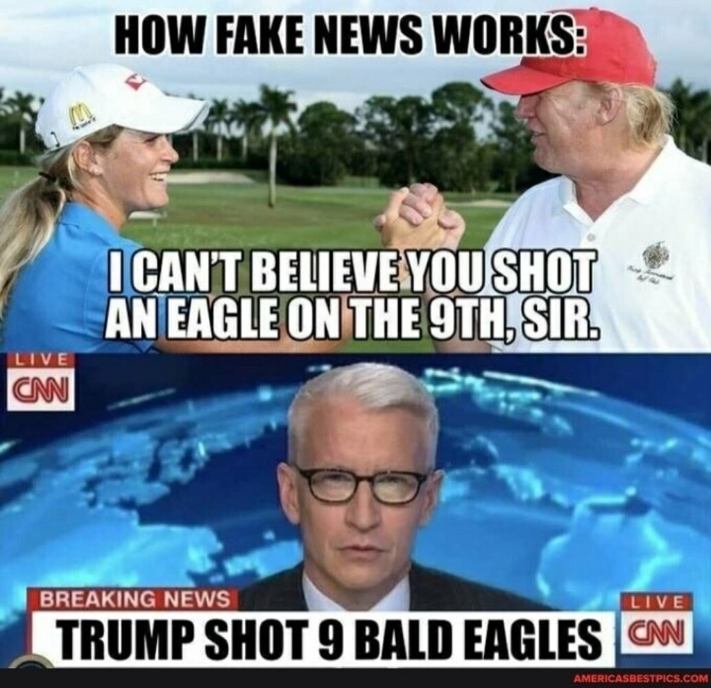 View 👍👍Timothy D Lynch👍👍's post on GETTR. Join the discussion, share your thoughts, and connect with the community.