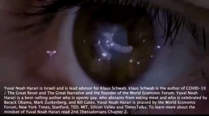 More insane rambling from Klaus Schwab’s so called visionary Harari. 