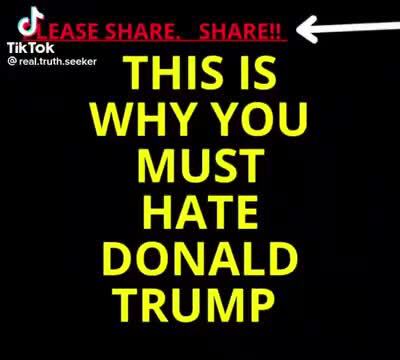Must watch vid on the great reset and why they gunned for Trump.