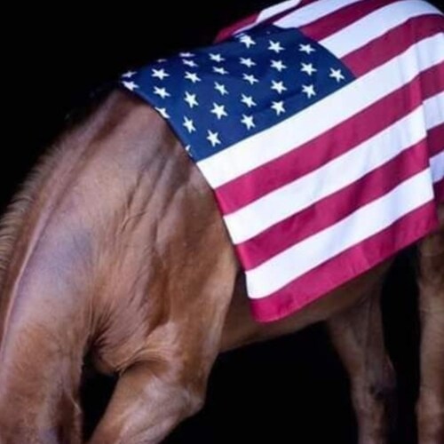 I'm just a mom who loves her family, our country and God! Let's get this country back !🇺🇲