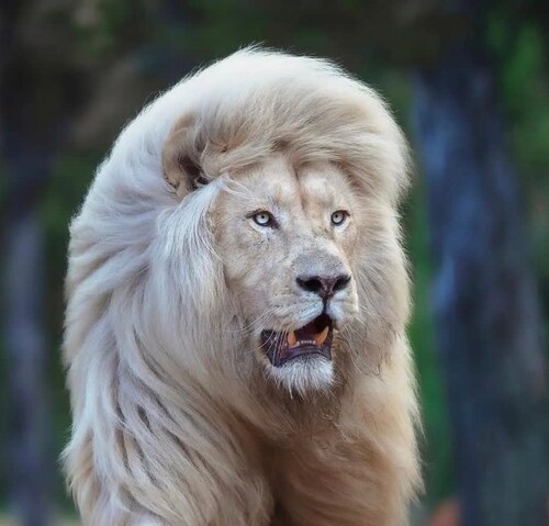 Engage with Brilliant Humans • Be Kind • Follow Jesus • Trump Won 🍊