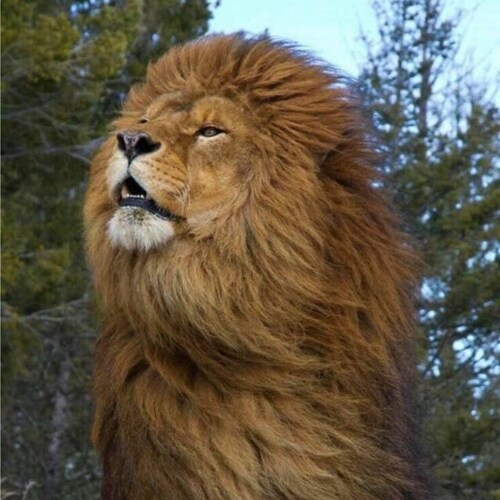 Another person with an opinion.