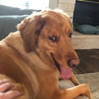 Proud Patriot Grandmother