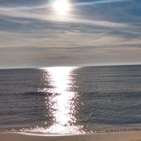 Married, Parent, Grand Parent, bachelor's degree, Retired