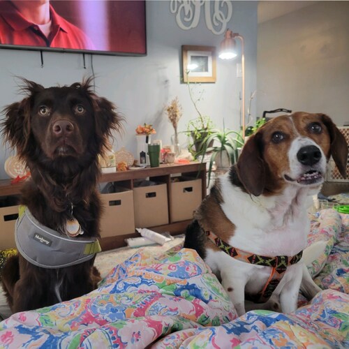 I really enjoy what the French do in revolutions, I think the whole world needs a bout of that. There is no moral monopo...