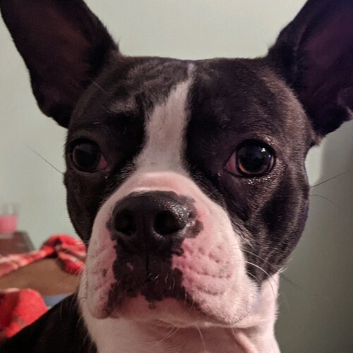 #BlueLivesMatter #MAGA