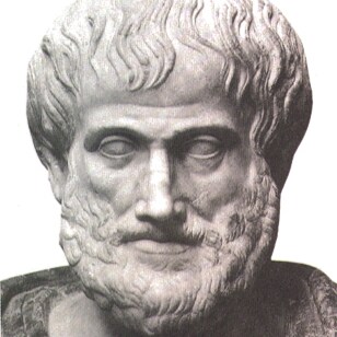 Student of Ayn Rand's #Objectivism, fighting for #Capitalism, #IndividualRights, #LCHF, #Keto, (mostly #Carnivore). Anti...