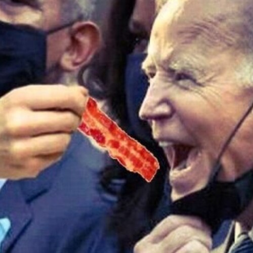 Let's go Brandon, Satire, Bacon is Therapy, Truth, Digital Solider, Geopolitics, Producer, Musician, Tattoo Artist