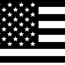 Entrepreneur, Disaffected Liberal, Fact Finder, Free Thinker