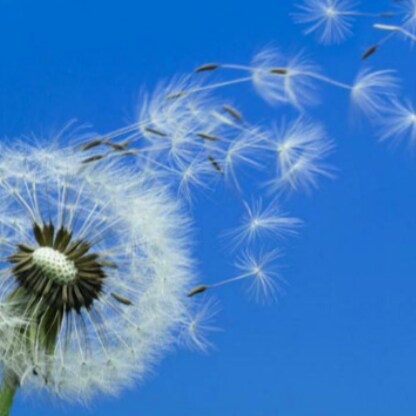 Visit Whisper's profile on GETTR. View their posts, photos, videos, and connect with them on the social platform.