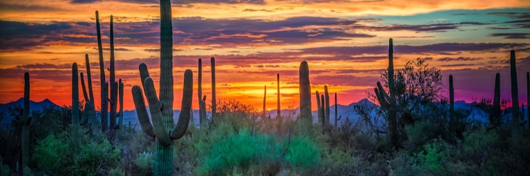 SD333🌵🇺🇸