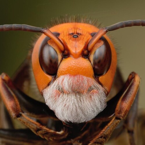 Everything is just beginning!