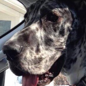 Proud Jewish American Conservative Patriot! They will NEVER silence the majority…NEVER! 🇺🇸💥🇺🇸💥🇺🇸                ...