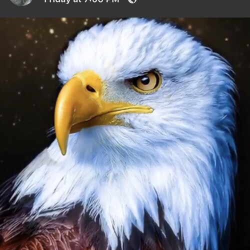 I love our country! Pro-Constitution🇺🇸Pro-Life❤️Pro 1A/2A🇺🇸MAGA❤️Trump🇺🇸America 1st!❤️Pro-Veterans/Military/Police...