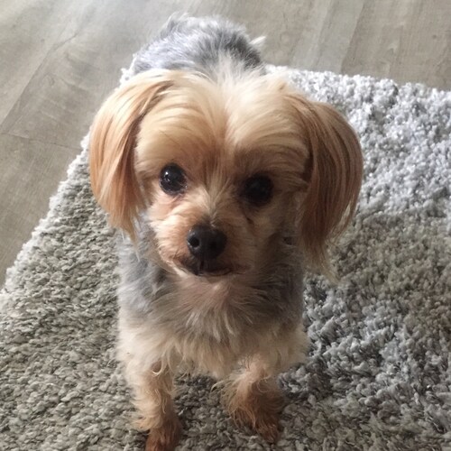 Retired California Paralegal.  Proud Mother and Grandmother.              Donald J. Trump WON. 🇺🇸🇺🇸