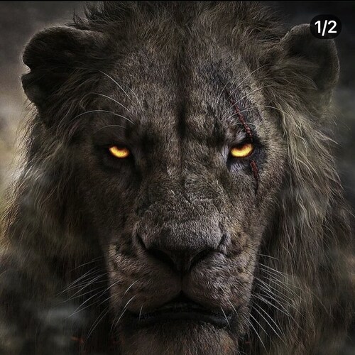 53yrs. old, registered barber 💈in NC-(unexpected unemployment at the time), I’m just a freedom,family,fightin,& fun lov...