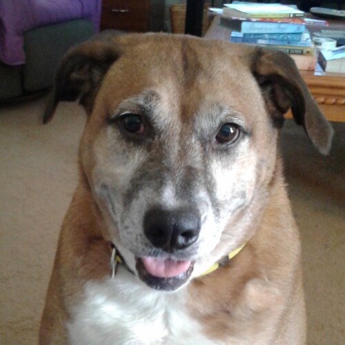 I am frustrated with our government representing their corporations instead of " We The People".