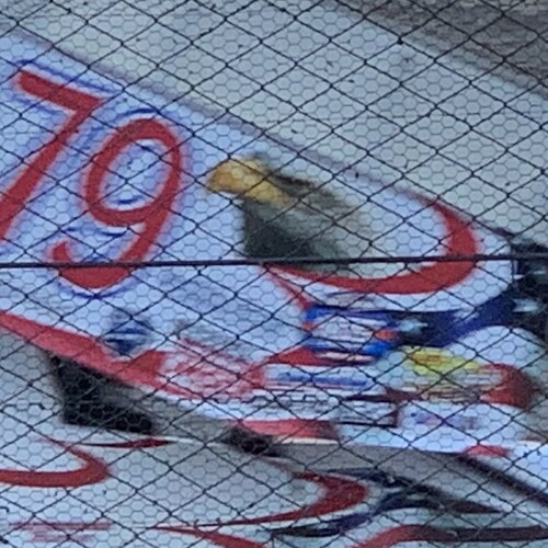 Big Rigger/Common sense advocate