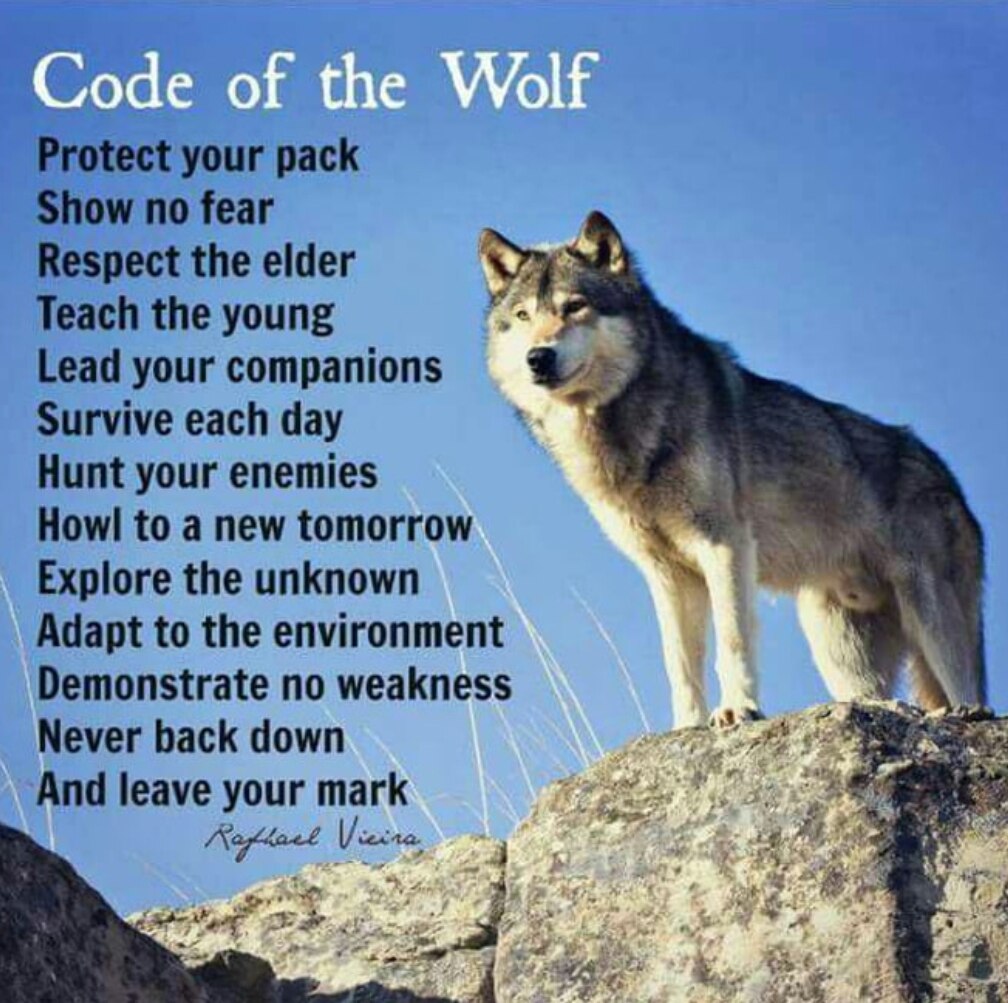 View 🇺🇲PRIMORDIAL🐺WOLF🇨🇦's post on GETTR. Join the discussion, share your thoughts, and connect with the community.