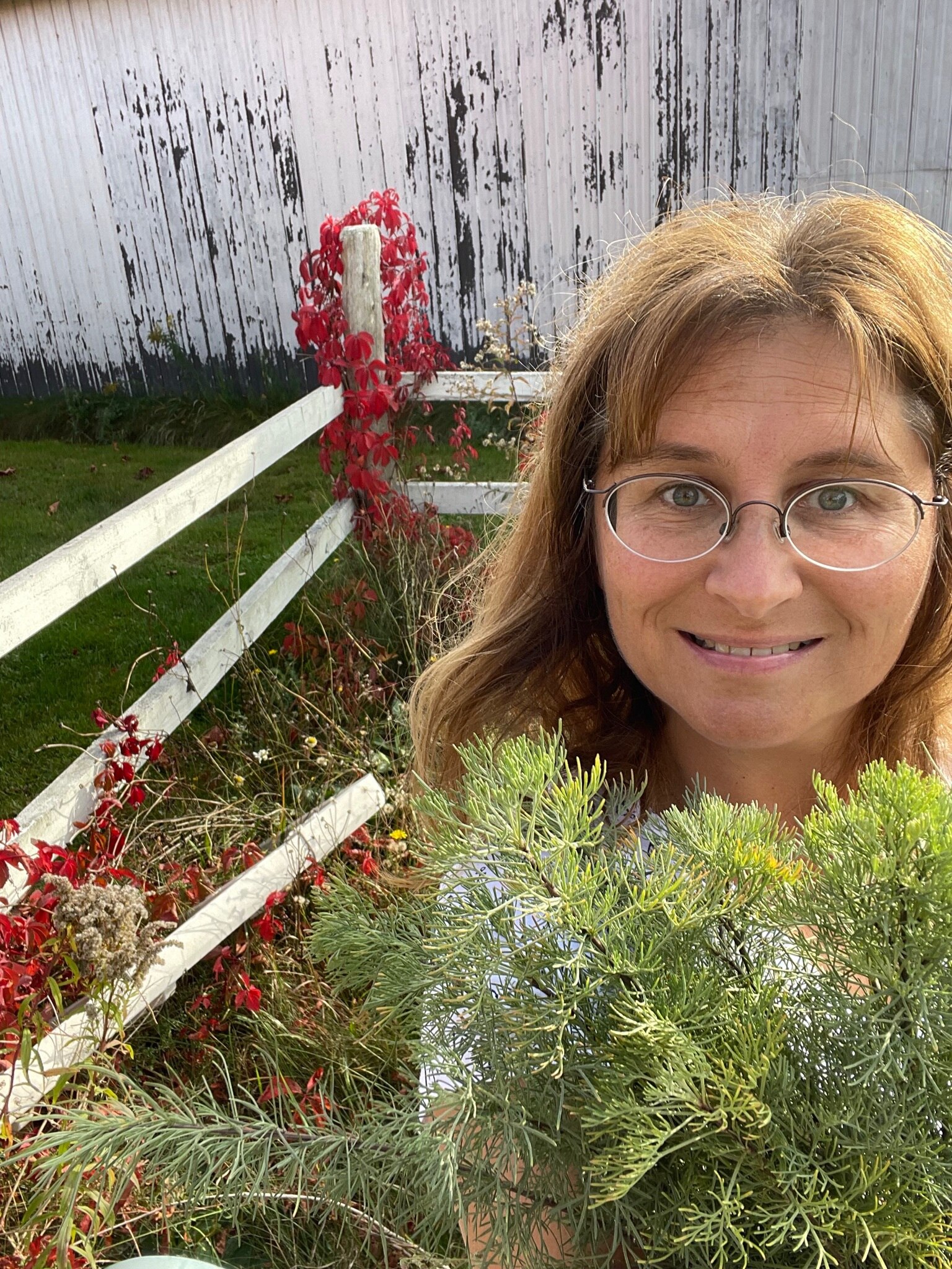 😉

Armoise cola ou Artemisia
Devinez à quoi ça sert😋

https://www.finedininglovers.fr/article/ques...