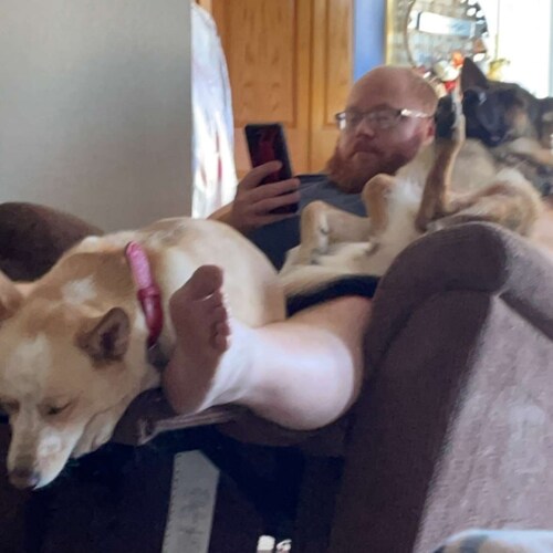 A right leaning Libertarian that's tired of corruption and tyranny.