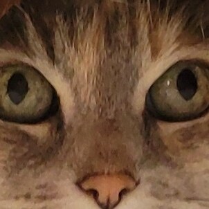 Disaffected liberal. Ultra MAGA. Constitutionalist. Nationalist.  Bougie like Natty in the Styrofoam.