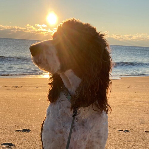 just trying make sense of the world we are living in.