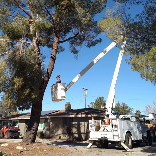 "We only do quality work guaranteed!"