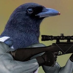 Our founders had it right.  They tried to make it idiot proof.  They underestimated the idiots.
-- Veteran, Christian, C...