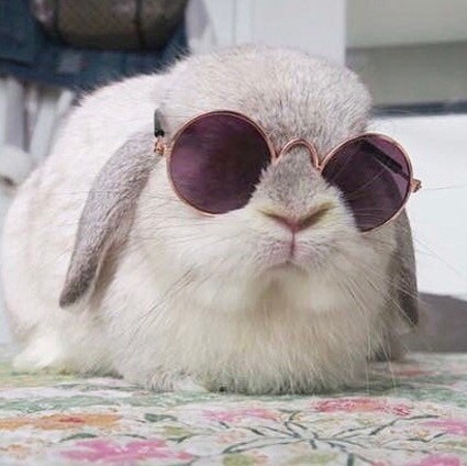 2A defender. Patriot. “We the People” A little snarky and sassy. 🚫BLM/ANTIFA 🚫